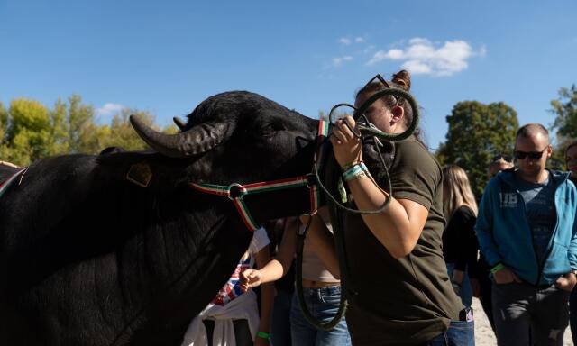 Mintegy 45 ezren l&aacute;togatogattak ki a K&Aacute;N-ra a h&eacute;tv&eacute;g&eacute;n