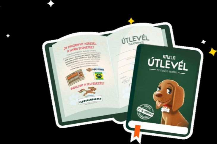 Júliusban ingyen utazhatnak a kaposvári alsós tanulók szinte az ország minden részébe!