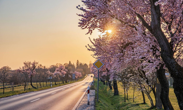 20 fok felett marad a hőm&eacute;rs&eacute;klet a h&eacute;tv&eacute;g&eacute;ig - Azt&aacute;n &eacute;rkezik a hidegfront