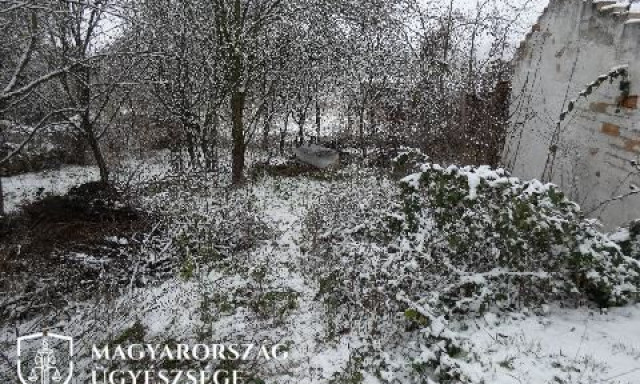 Hal&aacute;lra vert nő holtteste ker&uuml;lt elő 3 &eacute;v ut&aacute;n Somogyban