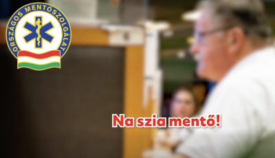 N&eacute;gy&eacute;ves kisfi&uacute; mentette meg &eacute;desanyja &eacute;let&eacute;t Budapesten