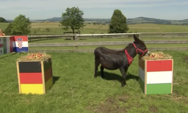 Magyar győzelmet j&oacute;solt M&aacute;ri&oacute;, az Eb-csacsi - VIDE&Oacute;