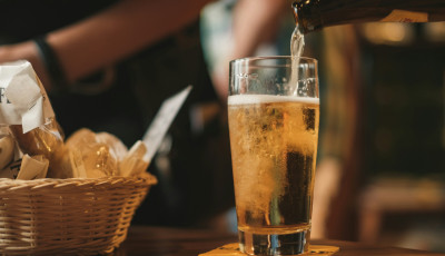 Őszi s&ouml;rillat a Balaton partj&aacute;n