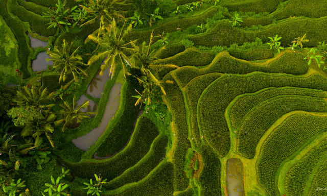 Kaposv&aacute;ri fot&oacute;s hozta haza Indon&eacute;zia var&aacute;zslatos arc&aacute;t &ndash; K&oacute;sz&oacute; Andr&aacute;s k&eacute;t h&eacute;t alatt bej&aacute;rta a szigetek legszebb pontjait