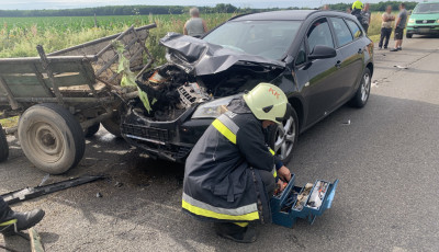 Lovaskocsiba rohant egy aut&oacute;s, k&eacute;t ember &eacute;s a l&oacute; is megs&eacute;r&uuml;lt