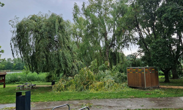 Kidőlt f&aacute;k az &aacute;ldozatai a Desed&aacute;n a szerdai viharnak