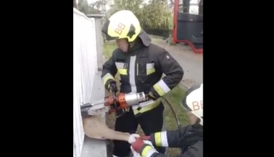 Tűzolt&oacute;k szabad&iacute;tott&aacute;k ki a k&eacute;t ker&iacute;t&eacute;sr&aacute;cs k&ouml;z&eacute; szorult őzet a Balatonn&aacute;l - VIDE&Oacute;