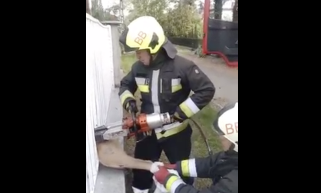 Tűzolt&oacute;k szabad&iacute;tott&aacute;k ki a k&eacute;t ker&iacute;t&eacute;sr&aacute;cs k&ouml;z&eacute; szorult őzet a Balatonn&aacute;l - VIDE&Oacute;