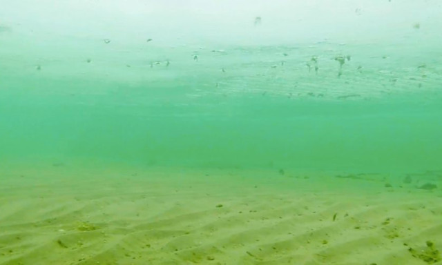 Egy új világ tárul fel a Balaton jege alatt - VIDEÓ
