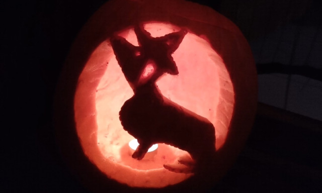 P&uuml;sp&uuml;k Rozi - Kinek van a legszebb t&ouml;ke Kaposv&aacute;ron?