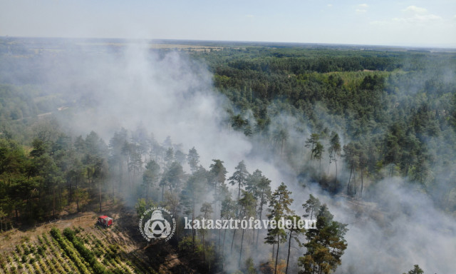 Kigyulladt egy boz&oacute;tos Dar&aacute;ny mellett, k&eacute;t hekt&aacute;ron puszt&iacute;tottak a l&aacute;ngok