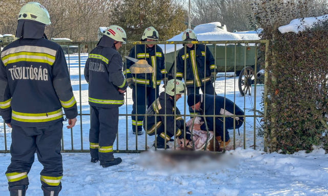 Tragikus v&eacute;get &eacute;rt egy szerda d&eacute;lelőtti őzment&eacute;s Nagyat&aacute;don
