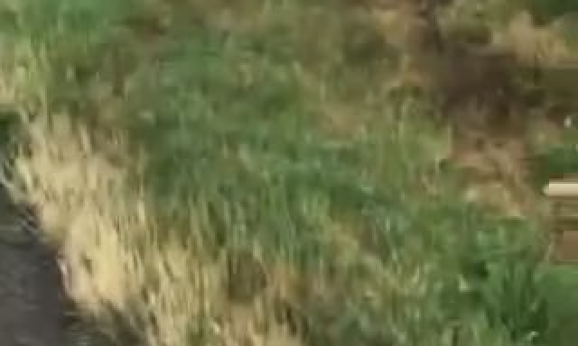 Cs&uacute;nya balesetet okozott egy sz&aacute;guldoz&oacute; Jut&aacute;n&aacute;l, mindenkit h&aacute;trahagyott - VIDE&Oacute;