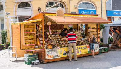 Huszadszor csalogatja a m&eacute;z szerelmeseit Kaposv&aacute;rra a M&eacute;zfesztiv&aacute;l