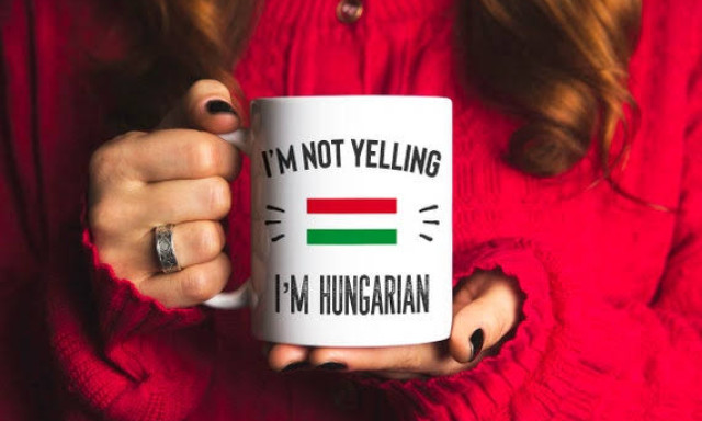 &Ouml;, &uuml;, ő, ű &eacute;s m&eacute;g ragozzuk is - A magyar a vil&aacute;g &ouml;t legnehezebb nyelve k&ouml;z&ouml;tt