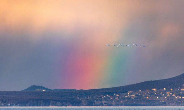 F&eacute;nyf&uuml;gg&ouml;ny tette var&aacute;zslatoss&aacute; a balatoni naplement&eacute;t