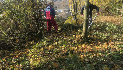 Gar&aacute;zstulajdonosok tett&eacute;k rendbe az &ouml;nkorm&aacute;nyzati ter&uuml;letet a Pipacs utc&aacute;ban