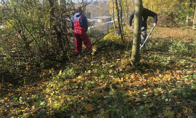 Gar&aacute;zstulajdonosok tett&eacute;k rendbe az &ouml;nkorm&aacute;nyzati ter&uuml;letet a Pipacs utc&aacute;ban