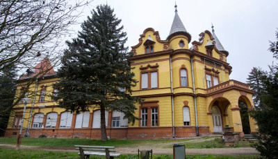 Mi lesz a mosd&oacute;si k&oacute;rh&aacute;z sorsa? Mi&eacute;rt j&aacute;r az orsz&aacute;g &eacute;lvonal&aacute;ban a Kaposi M&oacute;r k&oacute;rh&aacute;z? - VIDE&Oacute;