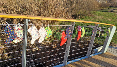 Man&oacute; zoknik lept&eacute;k el a v&aacute;rosligeti hidat