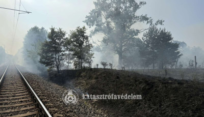 L&aacute;ngra kapott az avar, majd a vas&uacute;ti t&ouml;lt&eacute;s Szent&aacute;n&aacute;l