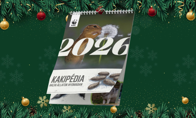 Ez egy igazi &quot;szarnapt&aacute;r&quot; - nagyszerű aj&aacute;nd&eacute;kkel &eacute;rkezett az &uuml;nnepek előtt a WWF