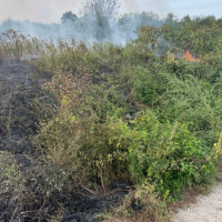 Tűz, vadkár, felborult autók - Volt dolguk a hétvégén rendesen a tűzoltóknak