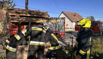 Tűzolt&oacute;k seg&iacute;tettek egy bajba jutott h&aacute;zi kedvencen