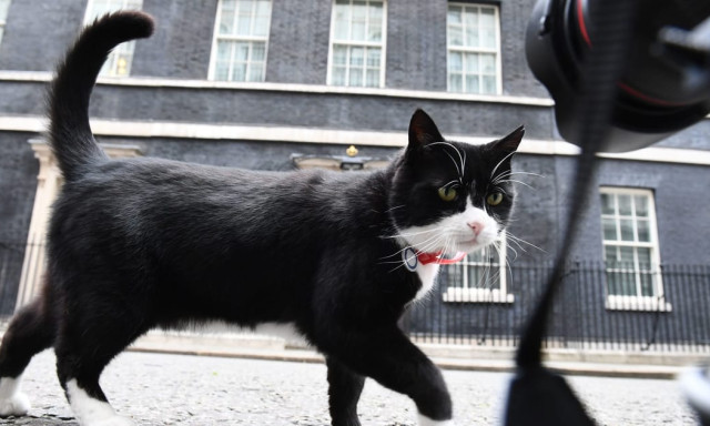 Meghalt Palmerston, a brit k&uuml;l&uuml;gy szmokingos főeger&eacute;sze