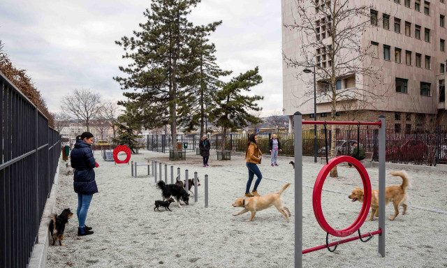 Eld&ouml;nthetitek, melyik kutyafuttat&oacute;t &uacute;j&iacute;ts&aacute;k fel az orsz&aacute;gban! - K&aacute;r, hogy Kaposv&aacute;ron nincs mit nevezni...