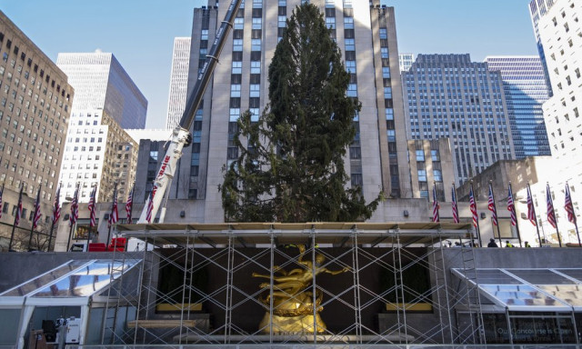 New Yorkban fel&aacute;ll&iacute;tott&aacute;k a Rockefeller Center gigantikus kar&aacute;csonyf&aacute;j&aacute;t