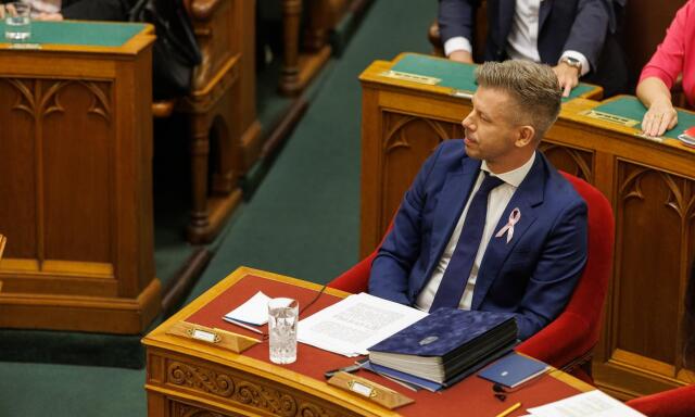 Elfogadt&aacute;k az &uacute;j gyermekv&eacute;delmi t&ouml;rv&eacute;nyt, az ellenz&eacute;k nemmel szavazott