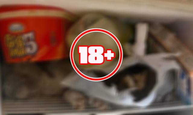 M&eacute;lyhűtőj&eacute;ben, a j&eacute;gkr&eacute;m mellett t&aacute;rolta hal&aacute;lra k&iacute;nzott kuty&aacute;it a miskolci nő (18+)