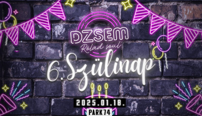 DZSEM 6. Sz&uuml;linap