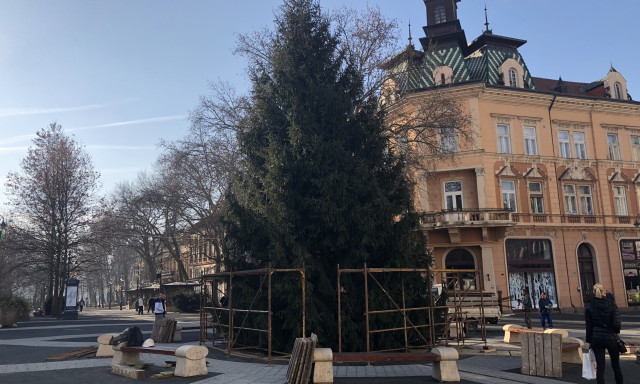 Bontj&aacute;k a v&aacute;ros kar&aacute;csonyf&aacute;j&aacute;t