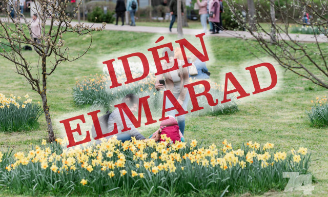 Lemondt&aacute;k - Id&eacute;n elmarad a N&aacute;rcisz&uuml;nnep!