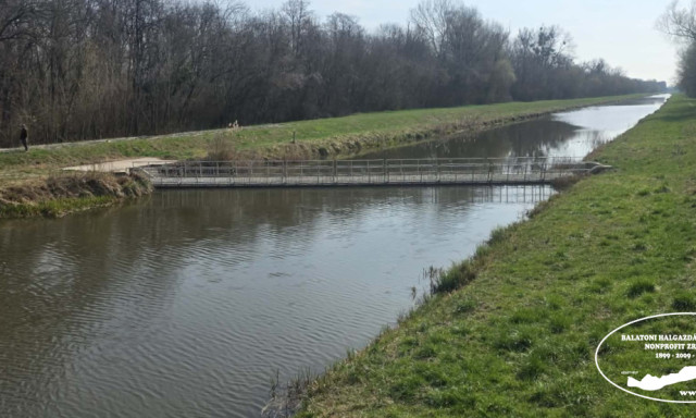 Hely&eacute;re ker&uuml;lt a mobil halr&aacute;cs a Balaton egyik &ouml;vcsatorn&aacute;j&aacute;n&aacute;l