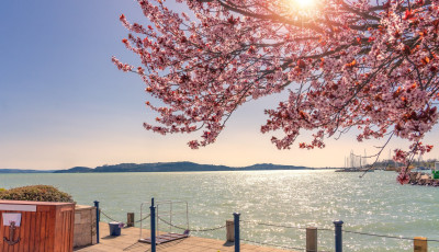 Nyakunkon a csillag&aacute;szati tavasz - J&ouml;nnek a hosszabb nappalok