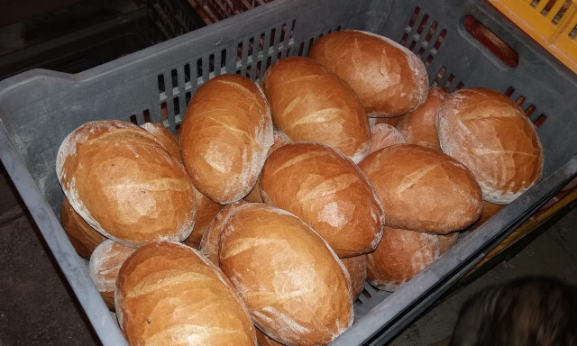 M&aacute;rciusban &uacute;jranyit a Pojtner P&eacute;ks&eacute;g