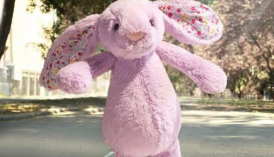 T&ouml;bb sz&aacute;z aj&aacute;nd&eacute;k pl&uuml;ssnyuszi v&aacute;ndorol a kaposv&aacute;ri ovisoknak egy anyuk&aacute;t&oacute;l