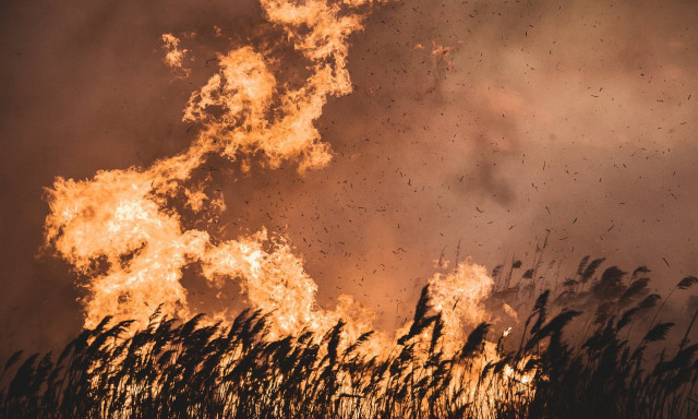 &Uuml;tős k&eacute;peket hoztunk a fony&oacute;di n&aacute;dast puszt&iacute;t&oacute; tűzről!