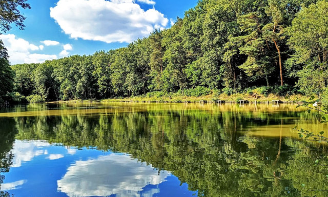 Meg&uacute;jul a Szentbal&aacute;zsi &eacute;s a Ropolyi pihenőhely, a T&ouml;r&ouml;cskei &eacute;s a T&oacute;kaji Parkerdő