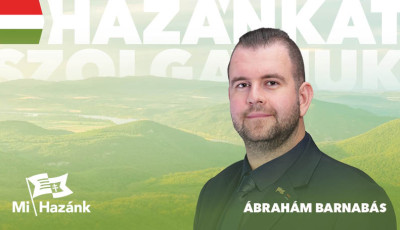 A Mi Haz&aacute;nk politikusa szerint 'a cig&aacute;nyok egyre pof&aacute;tlanabbak'