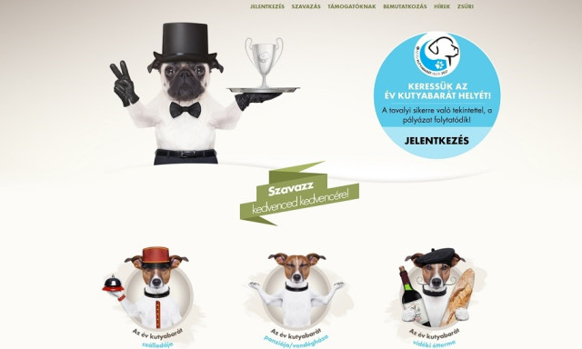 Ezek a legjobb kutyabar&aacute;t helyek Magyarorsz&aacute;gon! - T&ouml;bb somogyi is a d&iacute;jazottak k&ouml;z&ouml;tt!