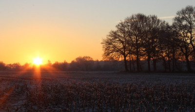 Itt az Orsolya-nap - Ma kiderülhet, milyen lesz az idei tél!