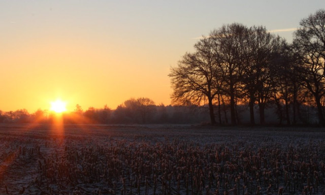 Itt az Orsolya-nap - Ma kider&uuml;lhet, milyen lesz az idei t&eacute;l!