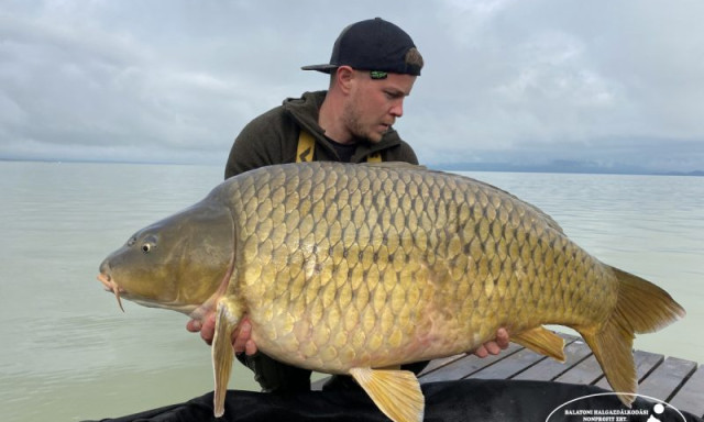 30+-os ponty akadt horogra a Balatonon - Ez a t&oacute; t&ouml;rt&eacute;net&eacute;nek m&aacute;sodik legnagyobbja!