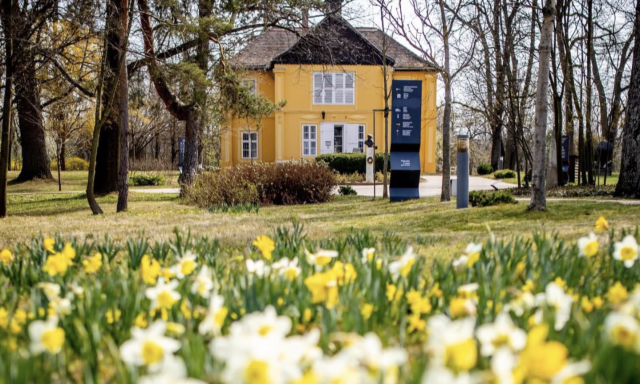 N&aacute;rcisz&uuml;ltet&eacute;sre v&aacute;rnak benneteket a Rippl-R&oacute;nai vill&aacute;ba