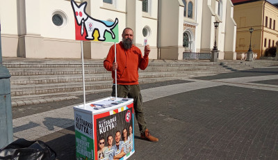 "Naiv j&oacute;sz&aacute;nd&eacute;kkal &iacute;rtuk al&aacute; a felelőss&eacute;gv&aacute;llal&aacute;st" &ndash; A Kutyap&aacute;rt kaposv&aacute;ri jel&ouml;ltje is seg&iacute;ts&eacute;get k&eacute;r