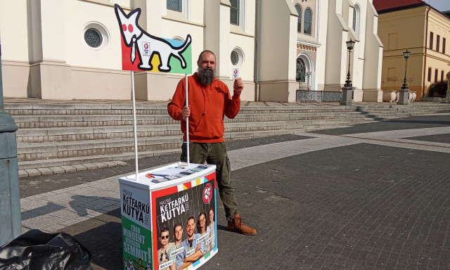 "Naiv j&oacute;sz&aacute;nd&eacute;kkal &iacute;rtuk al&aacute; a felelőss&eacute;gv&aacute;llal&aacute;st" &ndash; A Kutyap&aacute;rt kaposv&aacute;ri jel&ouml;ltje is seg&iacute;ts&eacute;get k&eacute;r